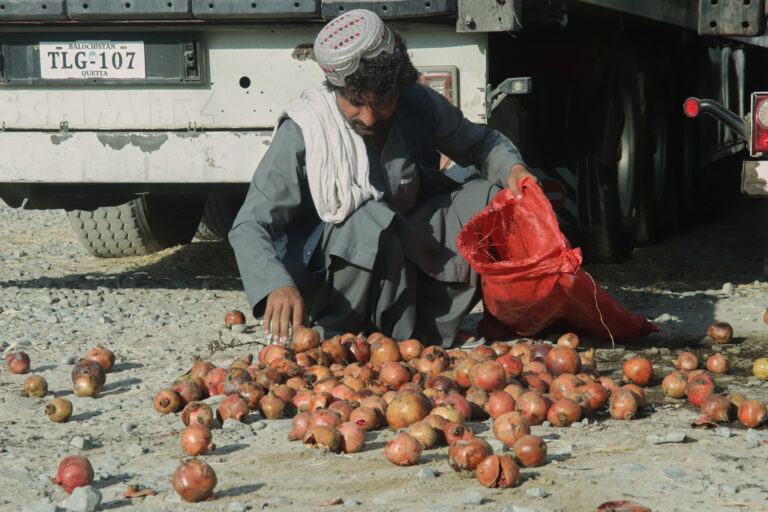 The Lasting Impact of Colonial Borders