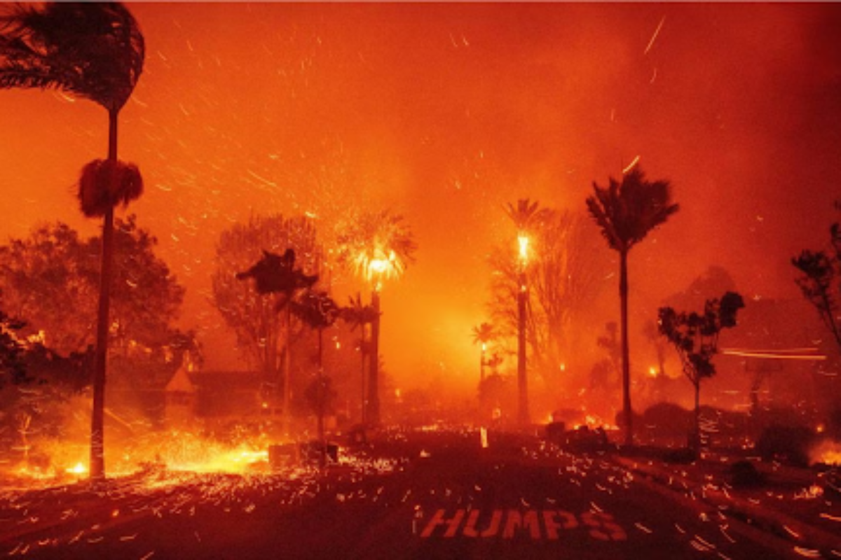 Trump’s War on Progress: The Rise and Fall of the Environmental Protection Agency